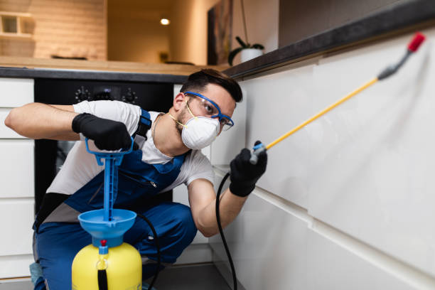 Best Pest Prevention Services  in Big Timber, MT