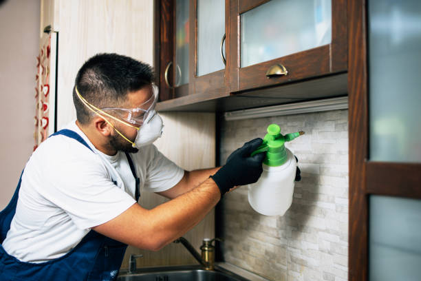 Best Pest Control for Homes  in Big Timber, MT