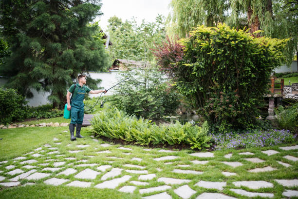 Best Affordable Pest Control Services  in Big Timber, MT