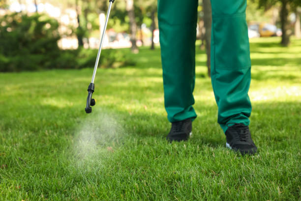 Best Affordable Pest Control Services  in Big Timber, MT