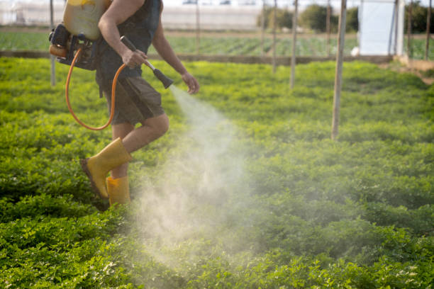 Best Pest Prevention Services  in Big Timber, MT