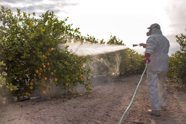 Best Pest Control Near Me  in Big Timber, MT