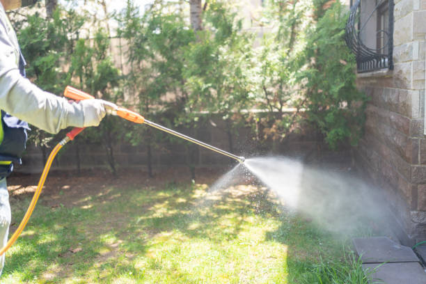 Best Wildlife Control Services  in Big Timber, MT