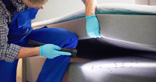 Best Best Pest Control Near Me  in Big Timber, MT