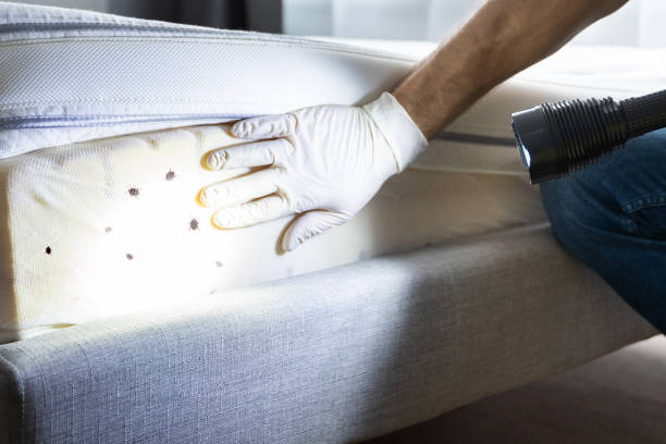 Best Pest Inspection Near Me  in Big Timber, MT